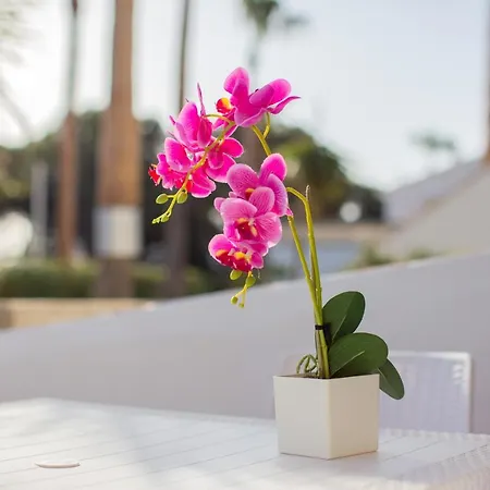 Apartamento En Cala Bosch - B7 아파트